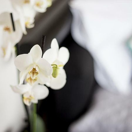 Апартаменти "Sea View"Loft Віла-ду-Конде Екстер'єр фото